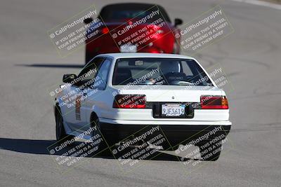 media/Nov-19-2023-Extreme Speed (Sun) [[bd0eec5490]]/Purple/Back Shots/